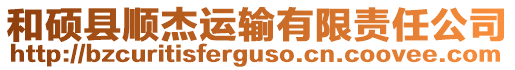 和碩縣順杰運輸有限責任公司