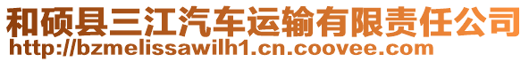 和碩縣三江汽車運輸有限責任公司