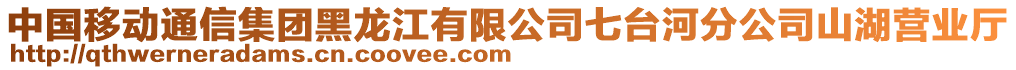 中國移動通信集團黑龍江有限公司七臺河分公司山湖營業(yè)廳