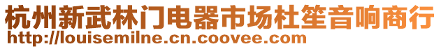 杭州新武林門電器市場杜笙音響商行