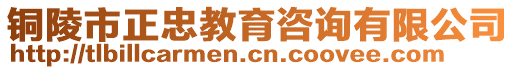 銅陵市正忠教育咨詢有限公司