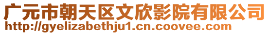 廣元市朝天區(qū)文欣影院有限公司