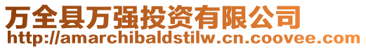 萬全縣萬強投資有限公司
