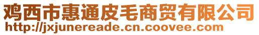 雞西市惠通皮毛商貿(mào)有限公司