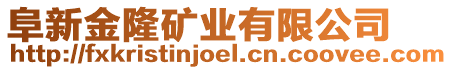 阜新金隆礦業(yè)有限公司