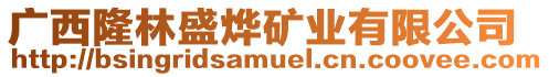 廣西隆林盛燁礦業(yè)有限公司