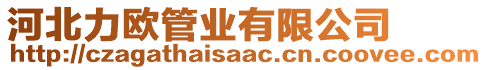 河北力歐管業(yè)有限公司