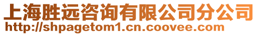 上海勝遠(yuǎn)咨詢有限公司分公司