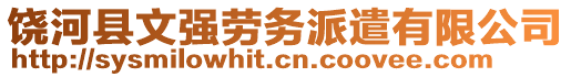 饶河县文强劳务派遣有限公司