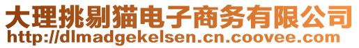 大理挑剔貓電子商務(wù)有限公司