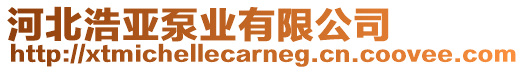 河北浩亞泵業(yè)有限公司