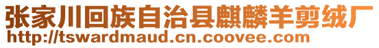 張家川回族自治縣麒麟羊剪絨廠