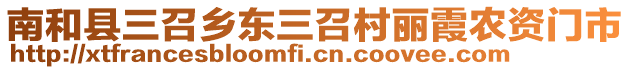 南和縣三召鄉(xiāng)東三召村麗霞農(nóng)資門市