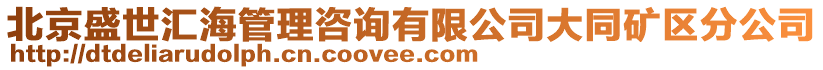 北京盛世匯海管理咨詢有限公司大同礦區(qū)分公司