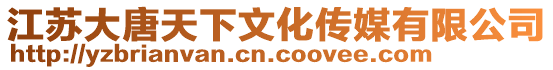 江蘇大唐天下文化傳媒有限公司