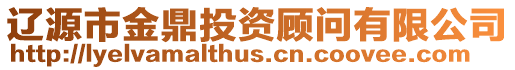 遼源市金鼎投資顧問有限公司