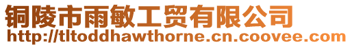 銅陵市雨敏工貿有限公司