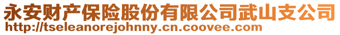 永安財(cái)產(chǎn)保險(xiǎn)股份有限公司武山支公司