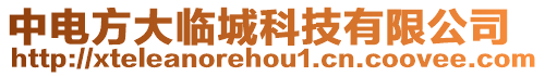 中電方大臨城科技有限公司