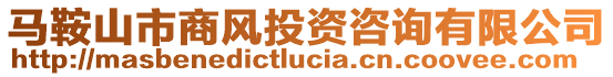 馬鞍山市商風(fēng)投資咨詢(xún)有限公司