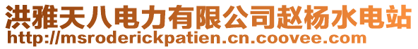 洪雅天八電力有限公司趙楊水電站