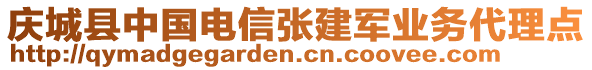 慶城縣中國電信張建軍業(yè)務(wù)代理點(diǎn)