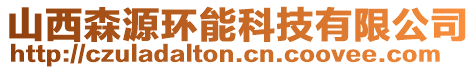 山西森源環能科技有限公司