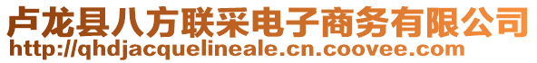 盧龍縣八方聯(lián)采電子商務(wù)有限公司
