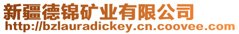 新疆德錦礦業有限公司