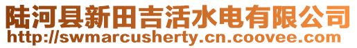 陸河縣新田吉活水電有限公司