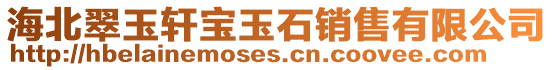 海北翠玉軒寶玉石銷售有限公司