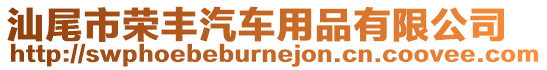 汕尾市榮豐汽車用品有限公司
