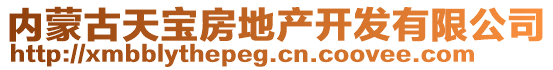 內(nèi)蒙古天寶房地產(chǎn)開發(fā)有限公司