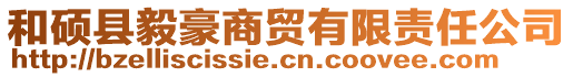 和碩縣毅豪商貿有限責任公司