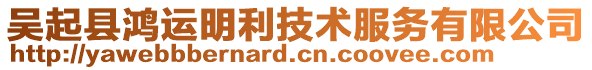 吴起县鸿运明利技术服务有限公司