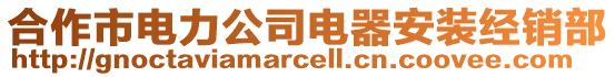 合作市電力公司電器安裝經(jīng)銷部