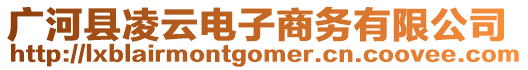 廣河縣凌云電子商務有限公司