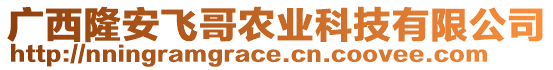 廣西隆安飛哥農(nóng)業(yè)科技有限公司