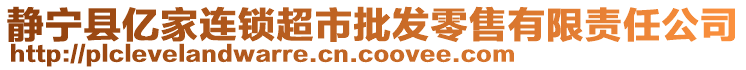 静宁县亿家连锁超市批发零售有限责任公司