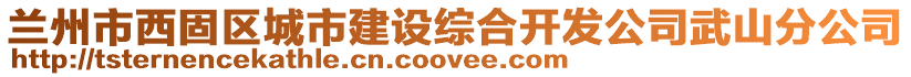 蘭州市西固區(qū)城市建設(shè)綜合開發(fā)公司武山分公司