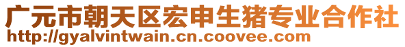 廣元市朝天區(qū)宏申生豬專業(yè)合作社