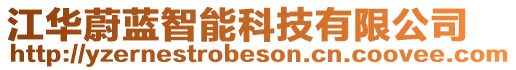 江華蔚藍(lán)智能科技有限公司