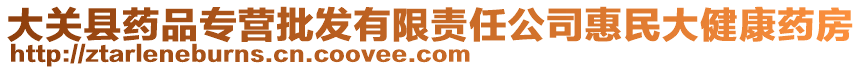 大關(guān)縣藥品專營批發(fā)有限責(zé)任公司惠民大健康藥房