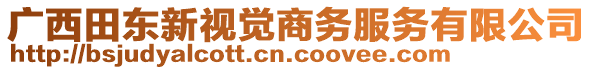 廣西田東新視覺商務服務有限公司