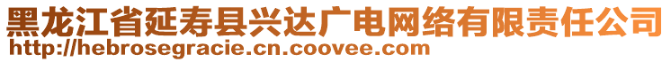 黑龍江省延壽縣興達廣電網(wǎng)絡有限責任公司