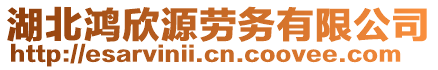 湖北鴻欣源勞務有限公司