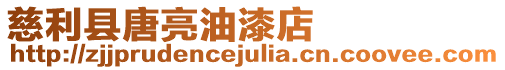 慈利縣唐亮油漆店