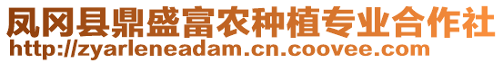 鳳岡縣鼎盛富農種植專業合作社