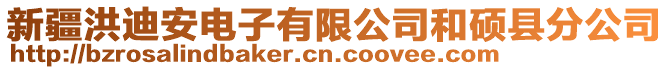 新疆洪迪安電子有限公司和碩縣分公司