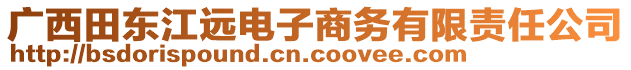 廣西田東江遠(yuǎn)電子商務(wù)有限責(zé)任公司